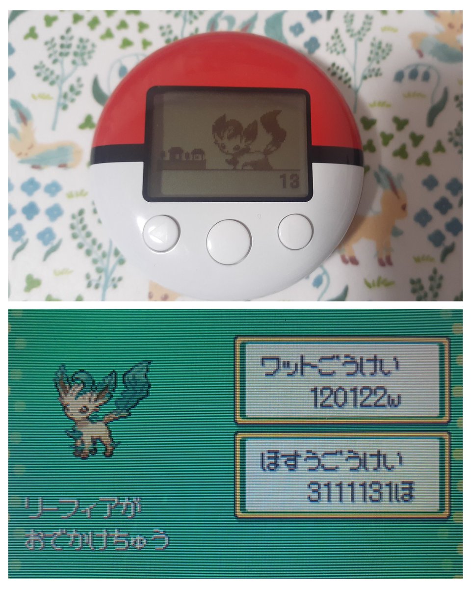 2024/9/13から、ゆるく連れ歩いていたポケウォーカーのリーフィアです