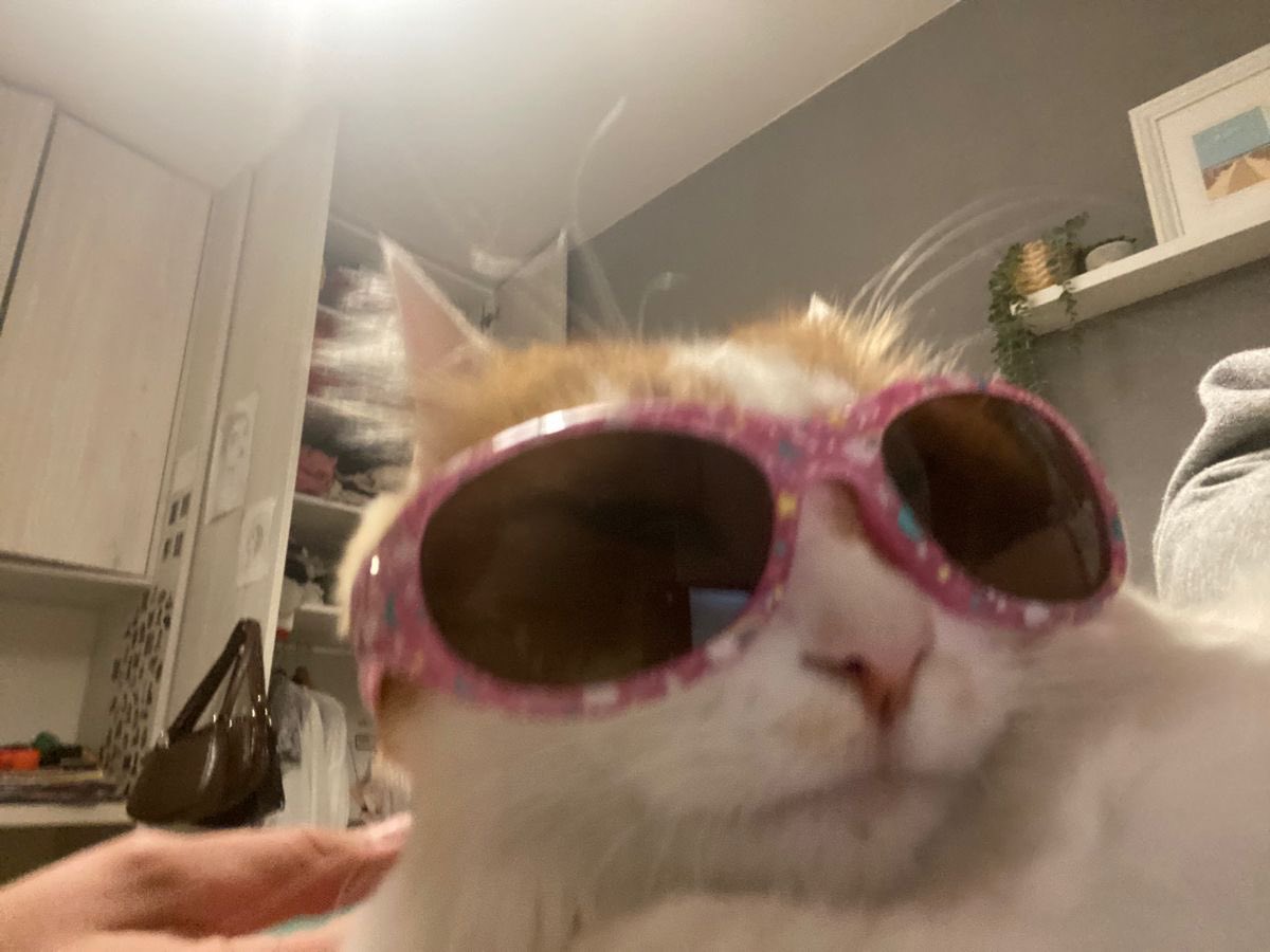 ilestelvna's tweet photo. gb gcash giveaway 🥳

1 winner - 50 php 

- rt &amp; reply the funniest meme in your gallery 😜
- ends later, 11 pm. https://t.co/PEy9QrDvoC