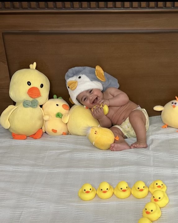 simaayaa_'s tweet photo. تقریبا تنها امید به زندگیم این جوجه و این گربس🐥😭 https://t.co/UybqZq0NrT