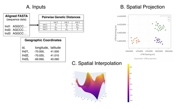 BioinfoAdv's tweet photo. 🗺️ New paper in Bioinformatics Advances: "pygenoscape: A Python package for spatial interpolation and visualization of genetic distance landscapes"

Access it here: https://t.co/mBvKfG0MDw https://t.co/SxaWONPjt9
