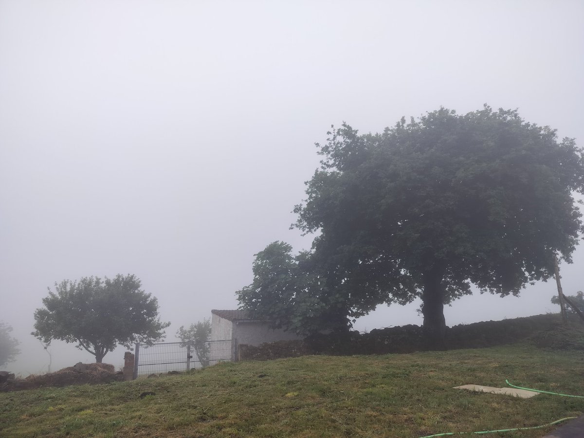 crispidal's tweet photo. @eltiempotpa Niebla toda la mañana en Fanu (Colunga). https://t.co/JEoZyFgvMW