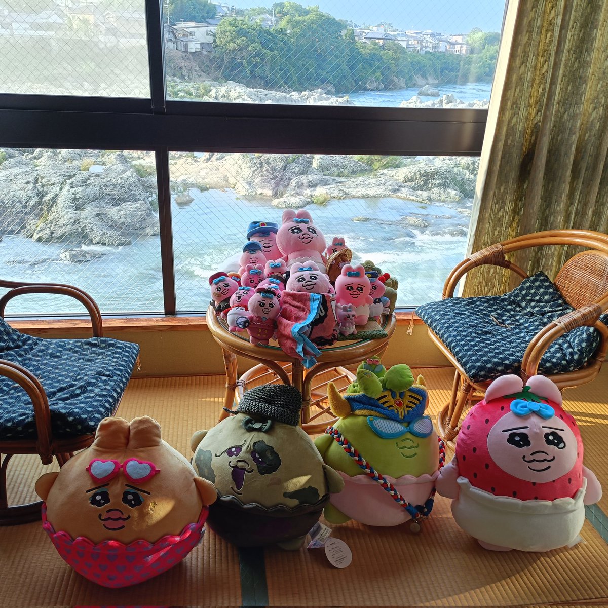 chan515883's tweet photo. みんなで旅館に泊まりまちた🏢🧳🐰
窓から見れる、闘竜灘が絶景でちゅ🌊👍✨
#滝寺荘 https://t.co/iFsOPXuv6h