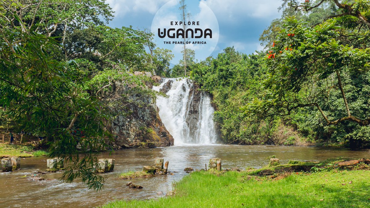 ExploreUganda's tweet photo. 11:11 ✨

Your desktop has seen enough spreadsheets.

Give it something worth looking at.

#ExploreUganda #WallpaperWednesday https://t.co/w0T7PGRwtO