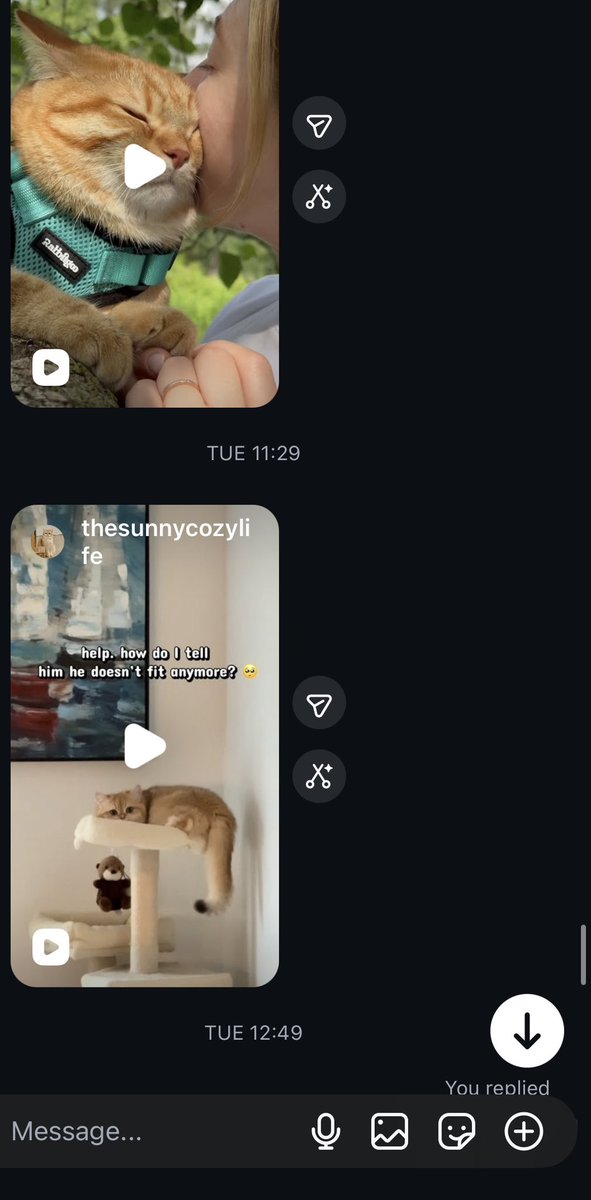 aautumndream's tweet photo. من أجمل العلاقات في حياتي 
❤️ علاقة مبنية على القطط بس ❤️ https://t.co/8iToBm5Lr0