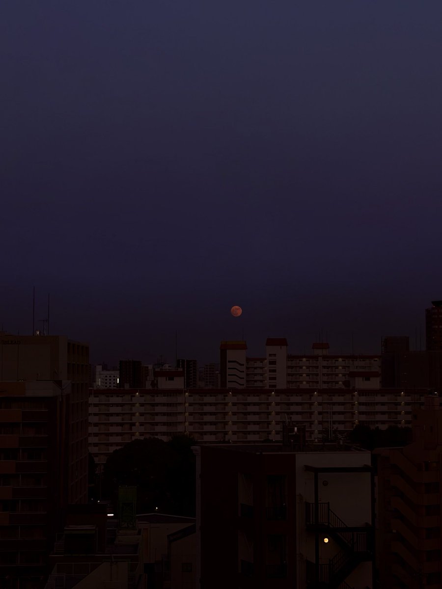 nqlmr1's tweet photo. ストロベリームーンを発見した🌕満月は明日だけど🫧 https://t.co/N9Qja0TSai
