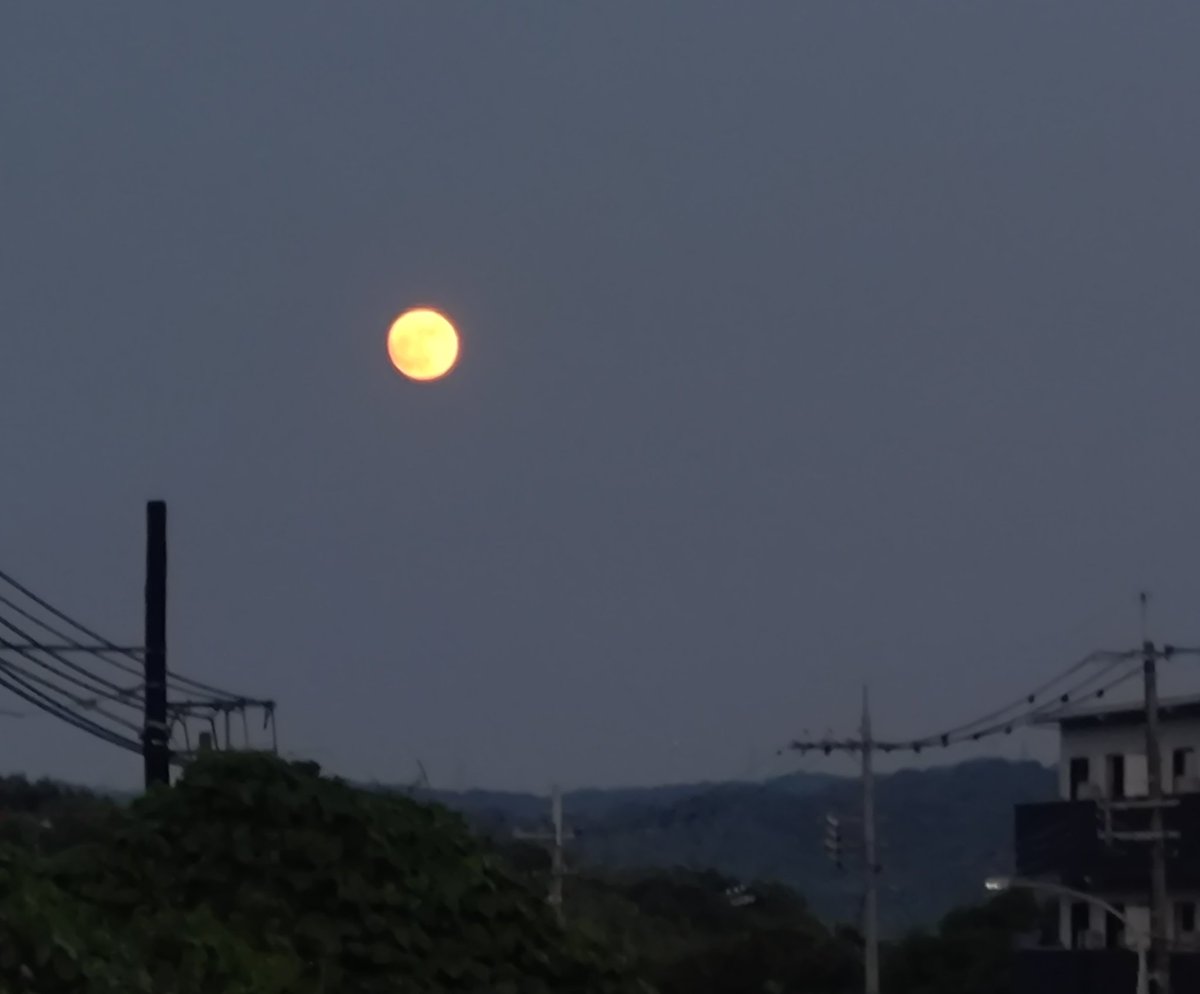 TarotMikomaru's tweet photo. イマツキ https://t.co/K0186ULHac