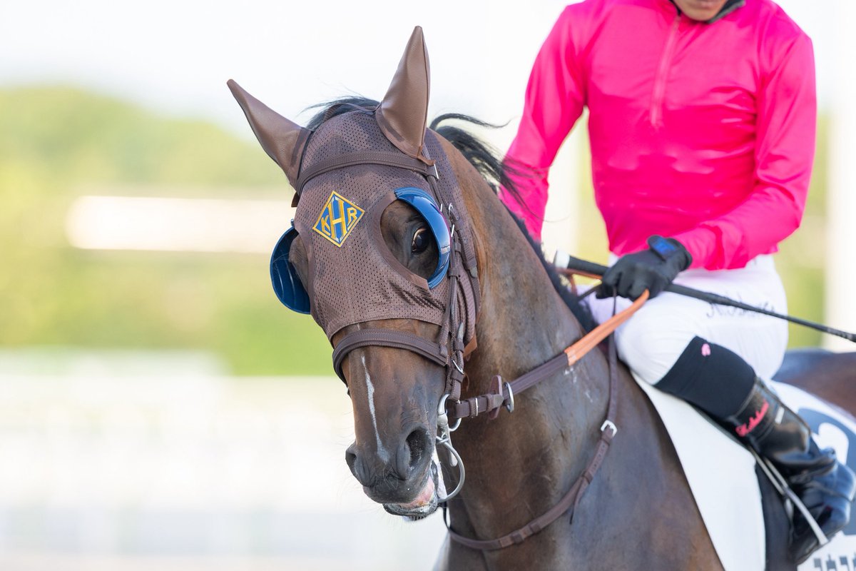 HOKARIstable's tweet photo. 大井競馬 第5回 
6/29 第1日 
第6Rユウユウチャパティ号
🏇櫻井光輔騎手　12着 https://t.co/coT4oh5r8A