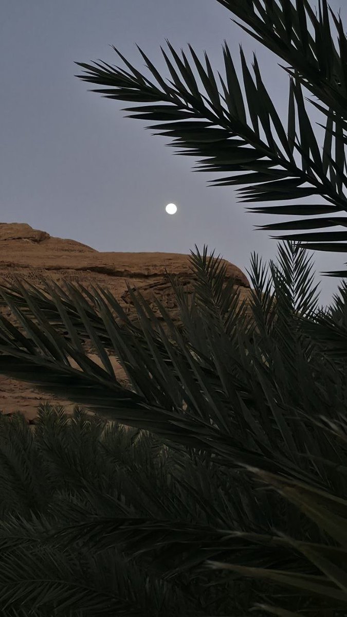 AlUlaRanger's tweet photo. قُم وَانظُر البَدر المُنير المُسفِرا
تَجد الجَمال مُشكل�� ومصورا
وَاحفظ فُؤادك كُلما عاينت في
تِلكَ العُيون الناعِسات مِن الكَرى

.. 
من يفوته جمال القمر في سماء #العلا هذا الأيام فقد فاته منظر بديع 🎑.. https://t.co/Bj4nPrnwUf