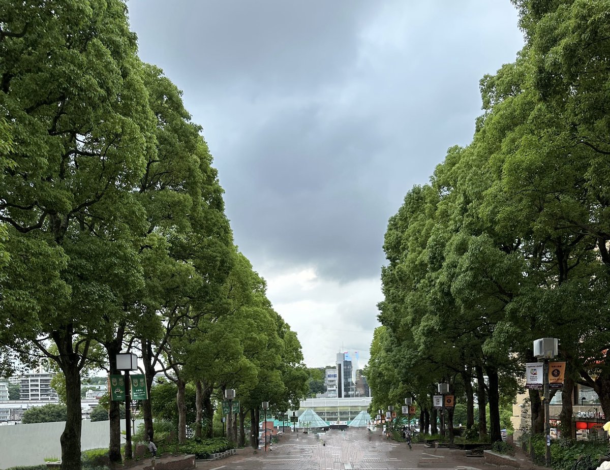 7E20's tweet photo. 今日用事があって、あまり知らない駅で降りたら
「あ！ここって、あの場所だ😳！」
ってなって、あの日、帰り道に撮った画像を探したらやっぱそうだね📀
←今日
2008/3/10→

ま、いっか。 https://t.co/ifyOP3EFVp