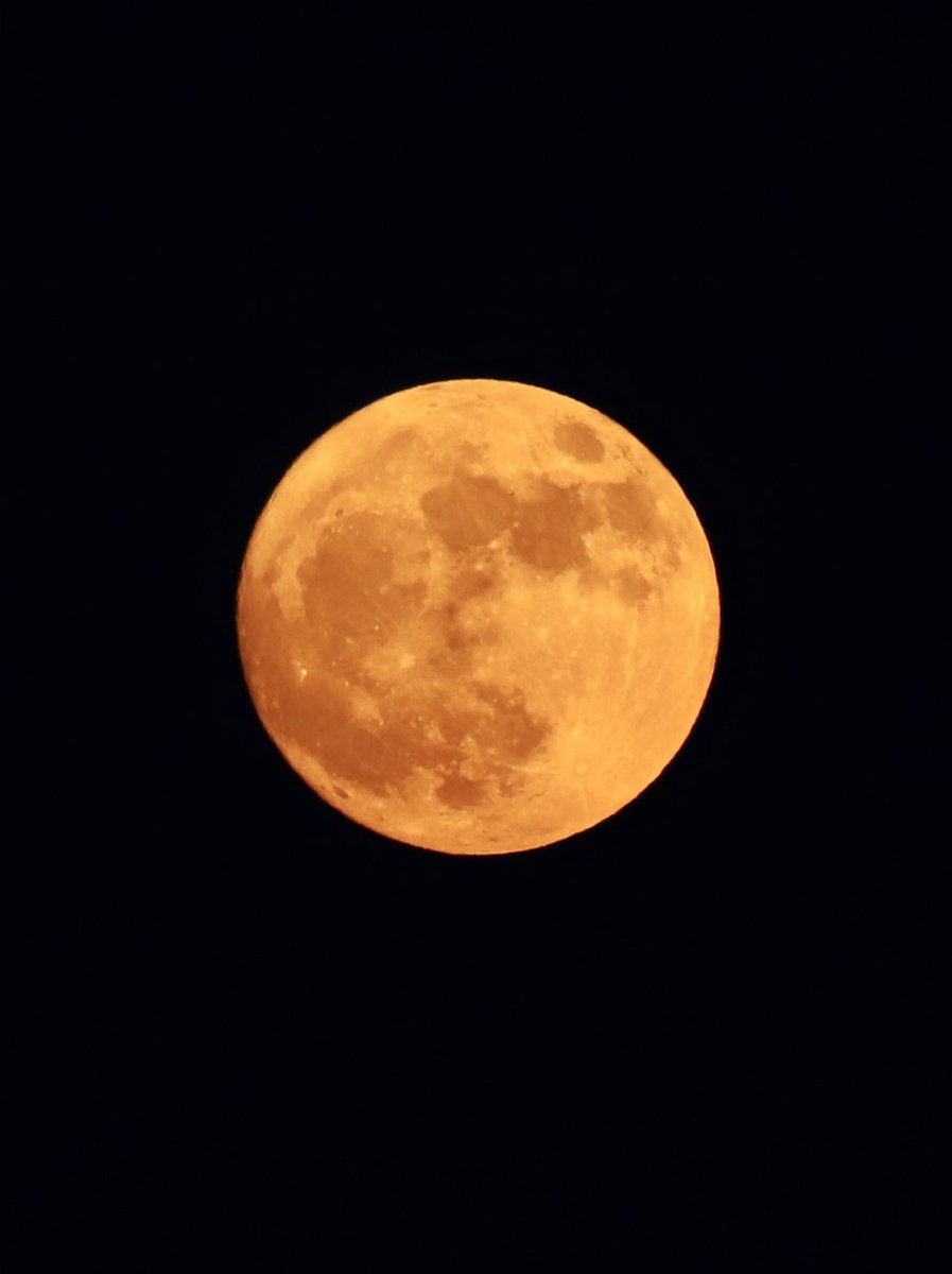 hiro_thoyou3864's tweet photo. 明日は満月🌕
ストロベリームーン
#イマツキ https://t.co/8MQR0kshOu