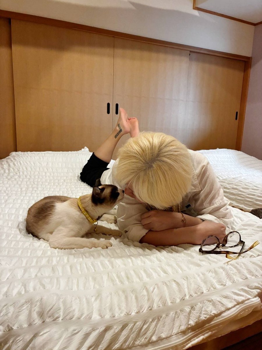 mihochiru's tweet photo. あぁぁぁぁ🐱 https://t.co/XjpAxCGcNJ