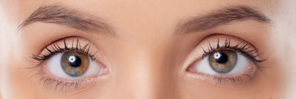 CorryAssociates's tweet photo. Mass. Facts: The space between your eyebrows is called a glabella w/each brow consisting of 500 hairs, one shaft lasting 4 mos. The Mona Lisa appears to be depicted without brows (a sign of purity &amp; nobility in Renaissance Florence)but it is now thought they just faded over time. https://t.co/VvOlrpbNMH