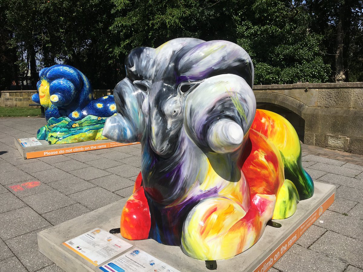 FloralRainbowAW's tweet photo. For #WeekZForZany #AlphabetChallenge 
More crazy rams from the Derby #RamTrail 🐏 https://t.co/jVyJJV6qnC