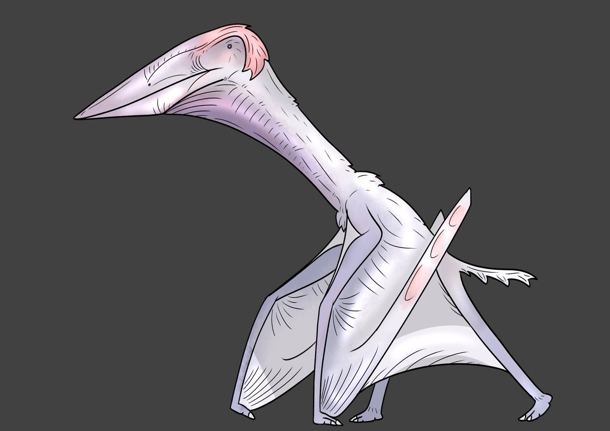 teeun238431's tweet photo. REMIELL DAN the Phosphatodraco
#paleo #paleoart #zzzero https://t.co/gLpHPBvShJ