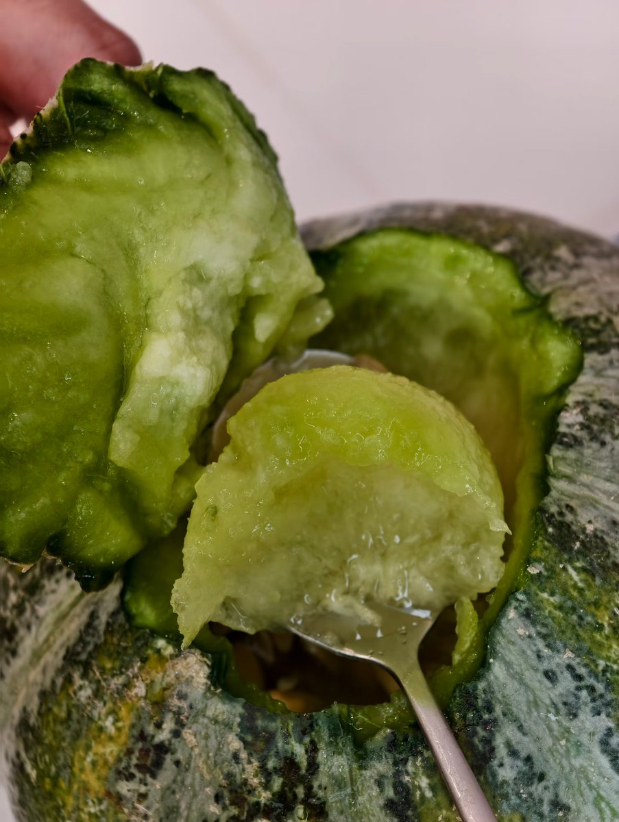 grape1074711's tweet photo. 新疆本地人私藏的老汉瓜才是瓜界白月光，吃过一次直接忘掉所有甜瓜🍈 很多人疑惑为啥叫老汉瓜，新疆老话讲：牙口再差的老人家都能轻松享用。果肉没有一丝硬纤维，软糯到极致，不用费力咀嚼，嘴唇轻轻一抿就化开，口感超级棒👍🏻
#新疆 https://t.co/S1s8Y2VPmq