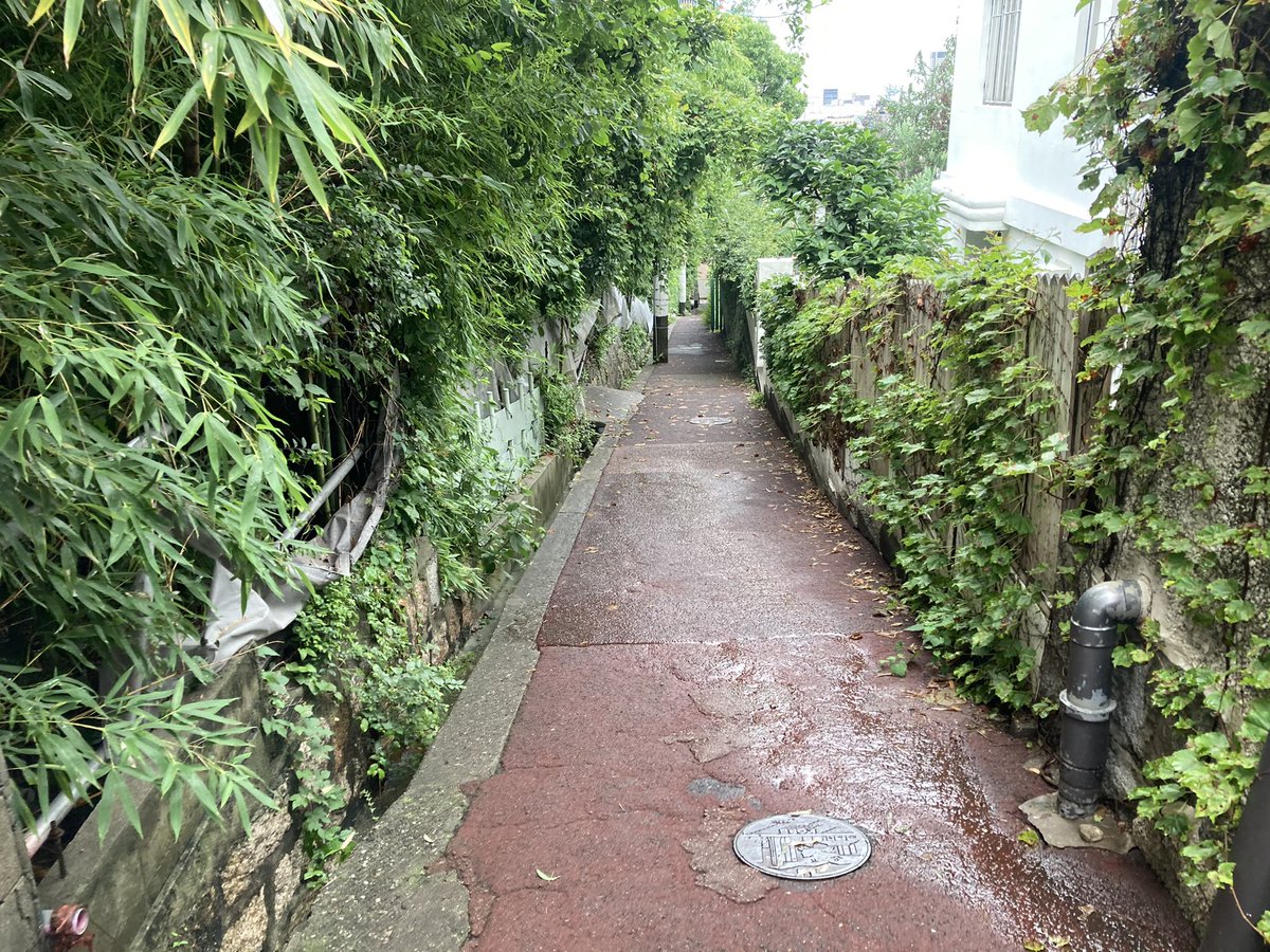 retsamnokner's tweet photo. 神戸の何かをくすぐる道たち https://t.co/Z8Jp0T4KF4