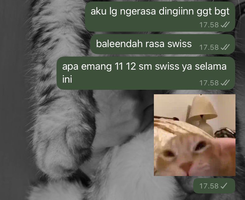 styrudeth's tweet photo. kayanya emg iya ya? https://t.co/MO61QMcqdr