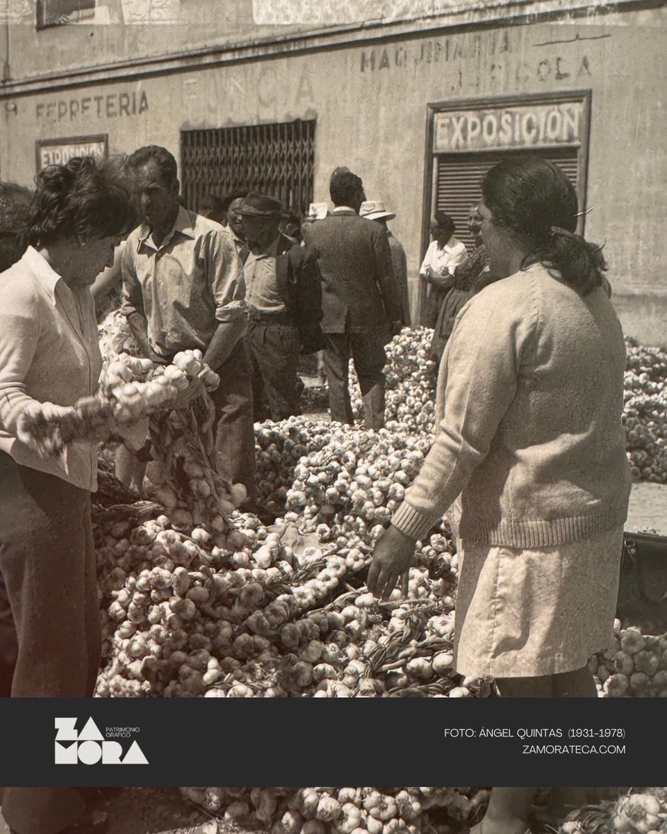 javiergmart's tweet photo. #ZamoraPatrimonioGráfico

Feria del Ajo frente al antiguo local de exposición de Casa Funcia en el número 11 de la Avenida de las Tres Cruces. Años 50. Foto del genial Ángel Quintas. #Zamora 

👉 https://t.co/P22lcRou1q https://t.co/34GTcFmX1i