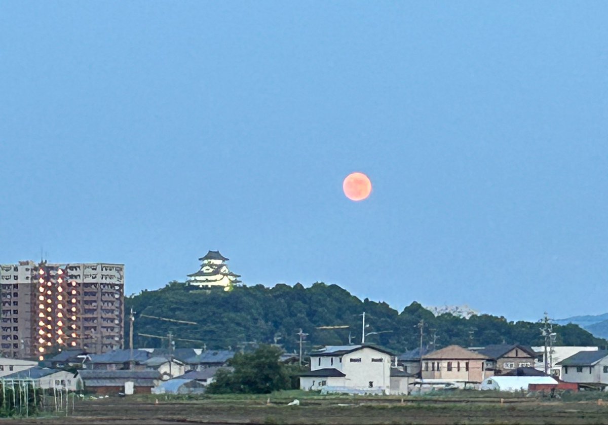 sunsetmoon001's tweet photo. ストロベリームーンと犬山城 https://t.co/AubQXayLBG