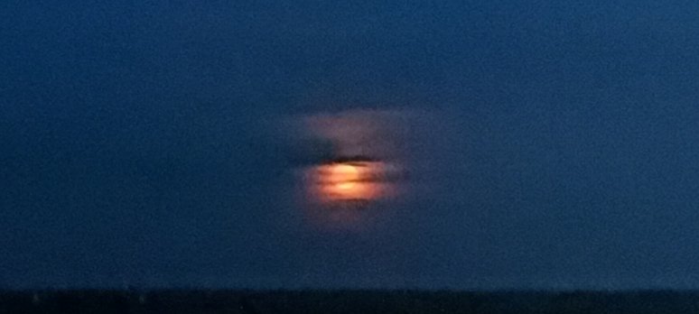 neverangryman's tweet photo. Прячется, думает не поймаю. Поймал. 🌝 https://t.co/FceVM6HPtQ