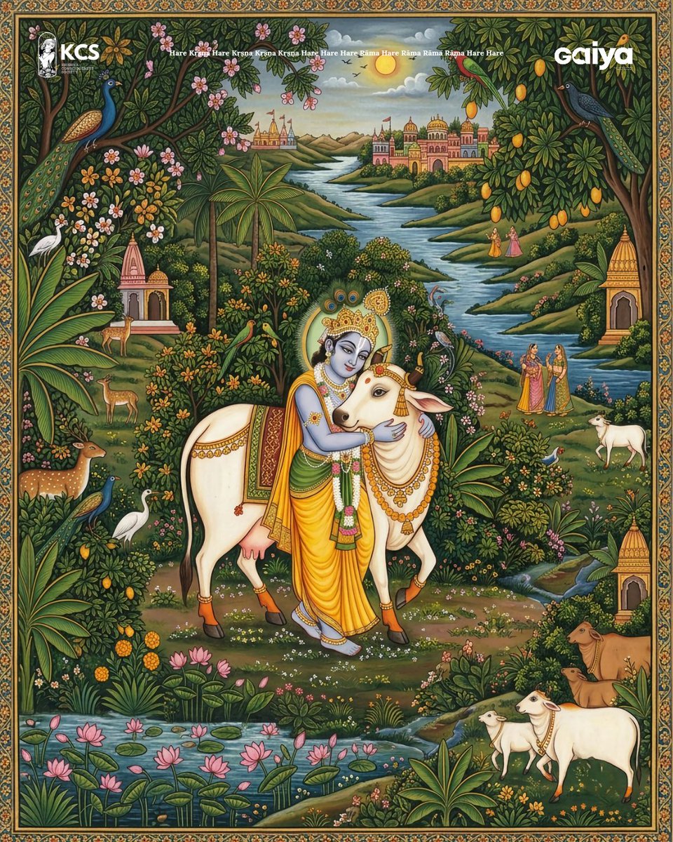 ProjectGaiya's tweet photo. Kṛṣṇa always tends the cows. His name is cowherd boy. To become animal of Kṛṣṇa is a great, great fortune. It is not ordinary thing. Any associate of Kṛṣṇa, either His cowherd boyfriends or calf or cow, or the Vṛndāvana trees, plants, flowers or water, they are all devotees of Kṛṣṇa. They like to serve Kṛṣṇa in different capacities.

- Śrīla Prabhupāda’s lecture on Śrīmad-Bhāgavatam 2.1.1-5, June 26, 1974, Melbourne