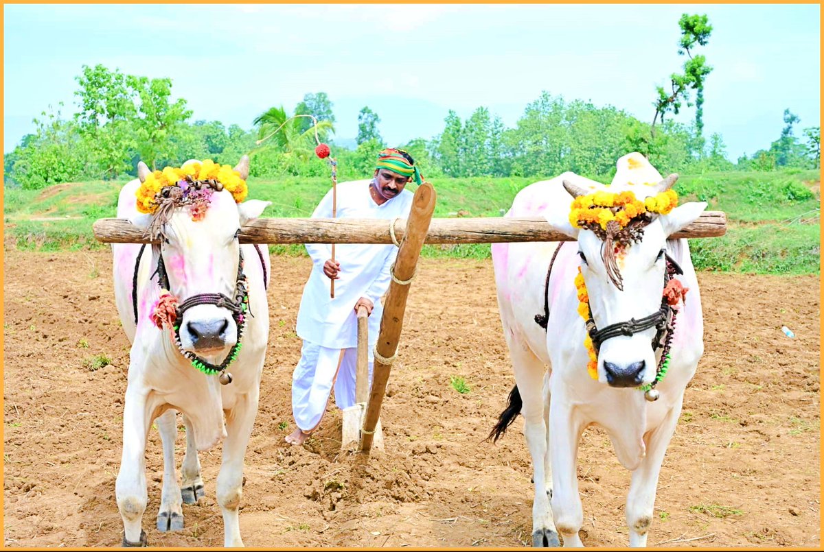 collectormanyam's tweet photo. 🚜📲 రైతులతో కలిసి నాగలి పట్టి పొలంలో విత్తనాలు చల్లి ఖరీఫ్ సీజన్కు శ్రీకారం చుట్టిన - జిల్లా కలెక్టర్ డా. ఎన్. ప్రభాకర రెడ్డి గారు 📲🚜
#Eruvaka #APAIMS #FarmerFirst
#TransparentGovernance #ParvathipuramManyam
#Parvathipuram #salur #Palakonda #Kurupam https://t.co/T2IbFGbSaJ