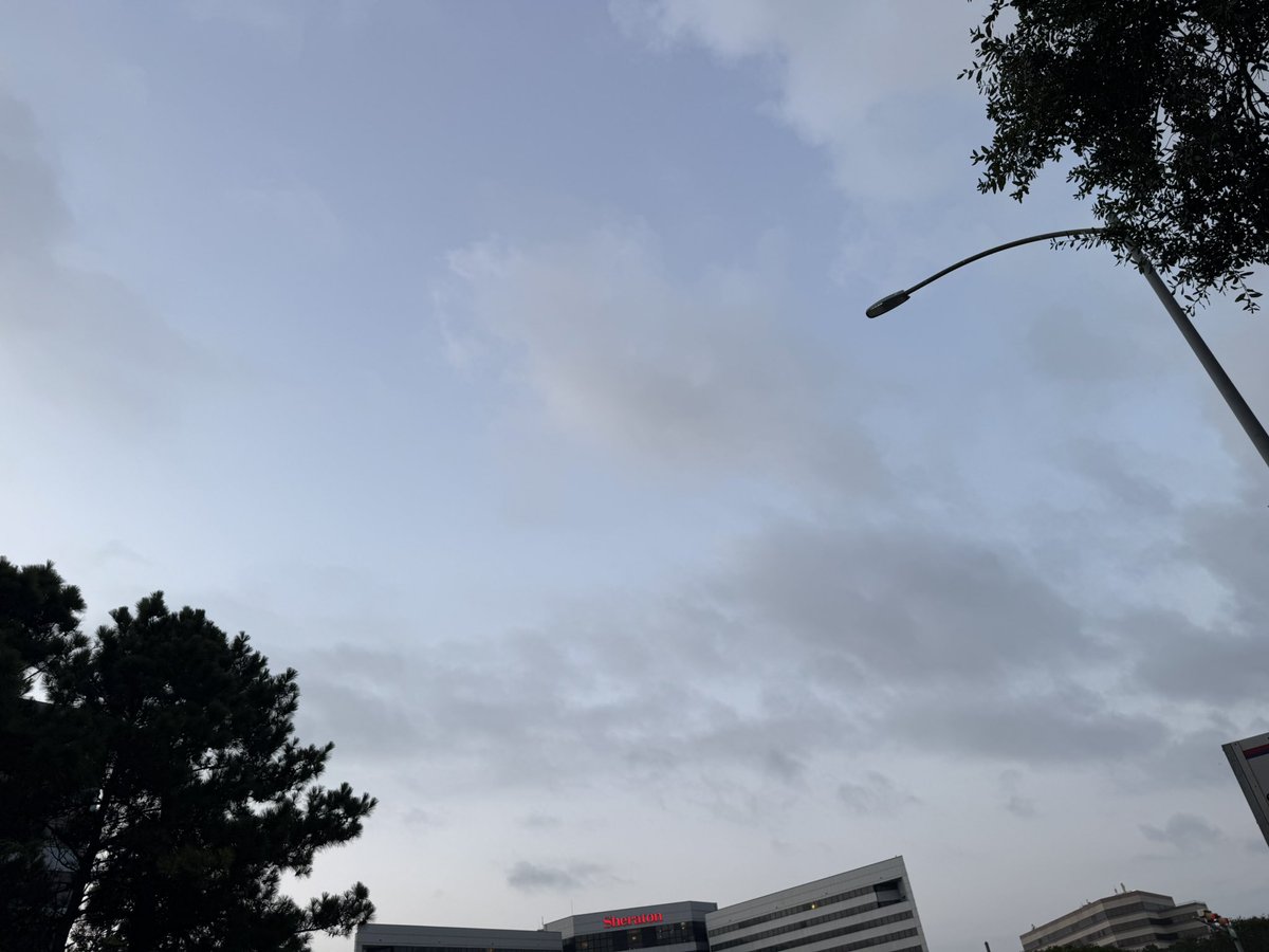 isdmsr's tweet photo. よっしゃああああと思って外に飛び出したが
ちょっと湿気感あってそんなにさわやかではない朝

#Houston https://t.co/Koll23fpKE