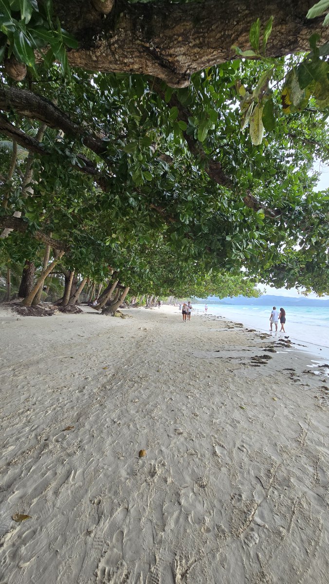 themoanfactory's tweet photo. see you again puhon #boracay https://t.co/HSurlm3W50