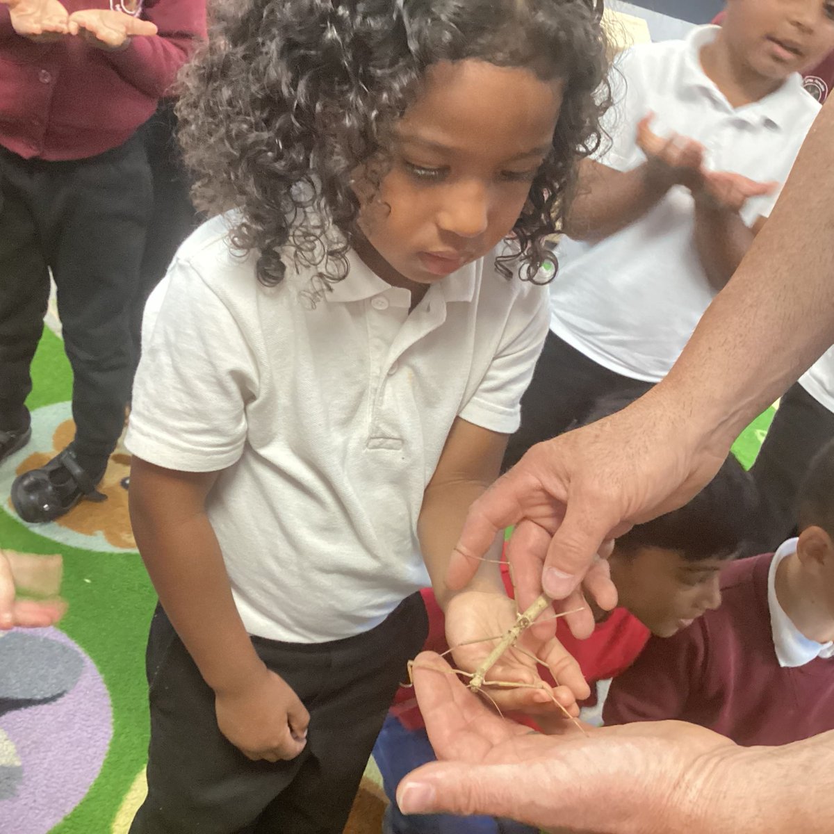 LittleParndon1's tweet photo. EYFS and Year 2 were lucky enough to have a visit from BugFest last Friday. We got to see lots of creepy crawlies including giant snails, tarantulas, stick insects, cockroaches, millipedes, centipedes and beetles. https://t.co/bcbxnSNZHr