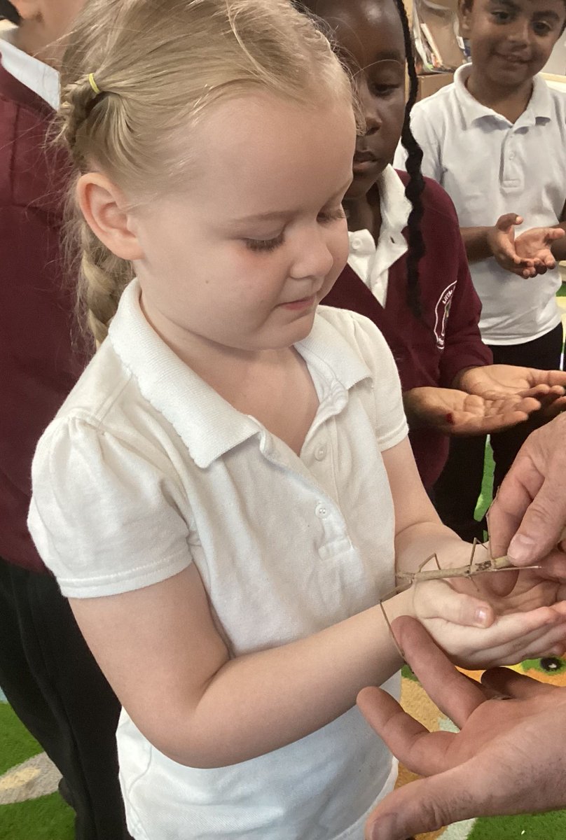 LittleParndon1's tweet photo. EYFS and Year 2 were lucky enough to have a visit from BugFest last Friday. We got to see lots of creepy crawlies including giant snails, tarantulas, stick insects, cockroaches, millipedes, centipedes and beetles. https://t.co/bcbxnSNZHr