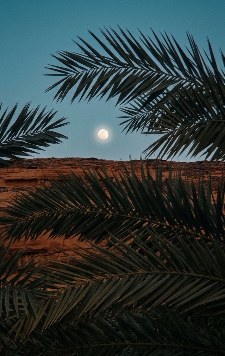 SaudiMagazine's tweet photo. Photo by @AlUlaRanger  #SaudiArabia https://t.co/LNvnHNgfDk