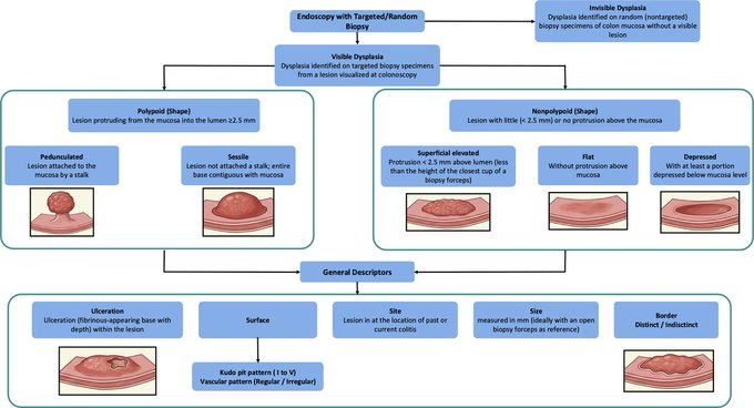 BritSocGastro tweet picture
