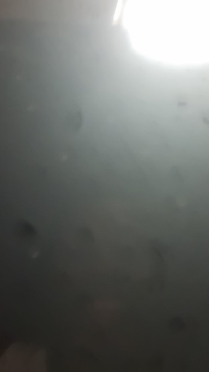 doineedto_'s tweet photo. See my front camera guys https://t.co/ZOXjq2Sjmh