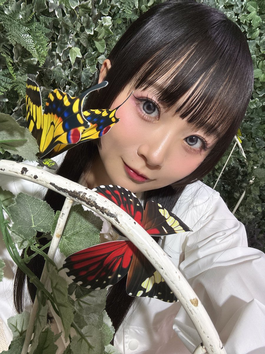 Harusaki_non's tweet photo. 🩷ノンビニ💜
店長のおすすめ(ブログ)更新しました！

#ラビトン 振り返りブログです🐇🎶

撮影スタジオには蝶もいたよ〜🦋
https://t.co/jQhLg8ORfv https://t.co/LSTkNjgU16