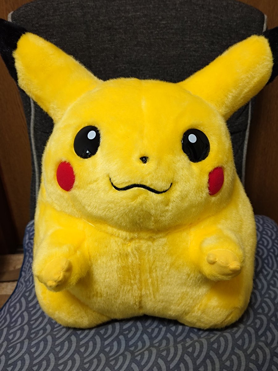 keydate76's tweet photo. でかいピカチュウが届いた https://t.co/lFM8XqxMcd