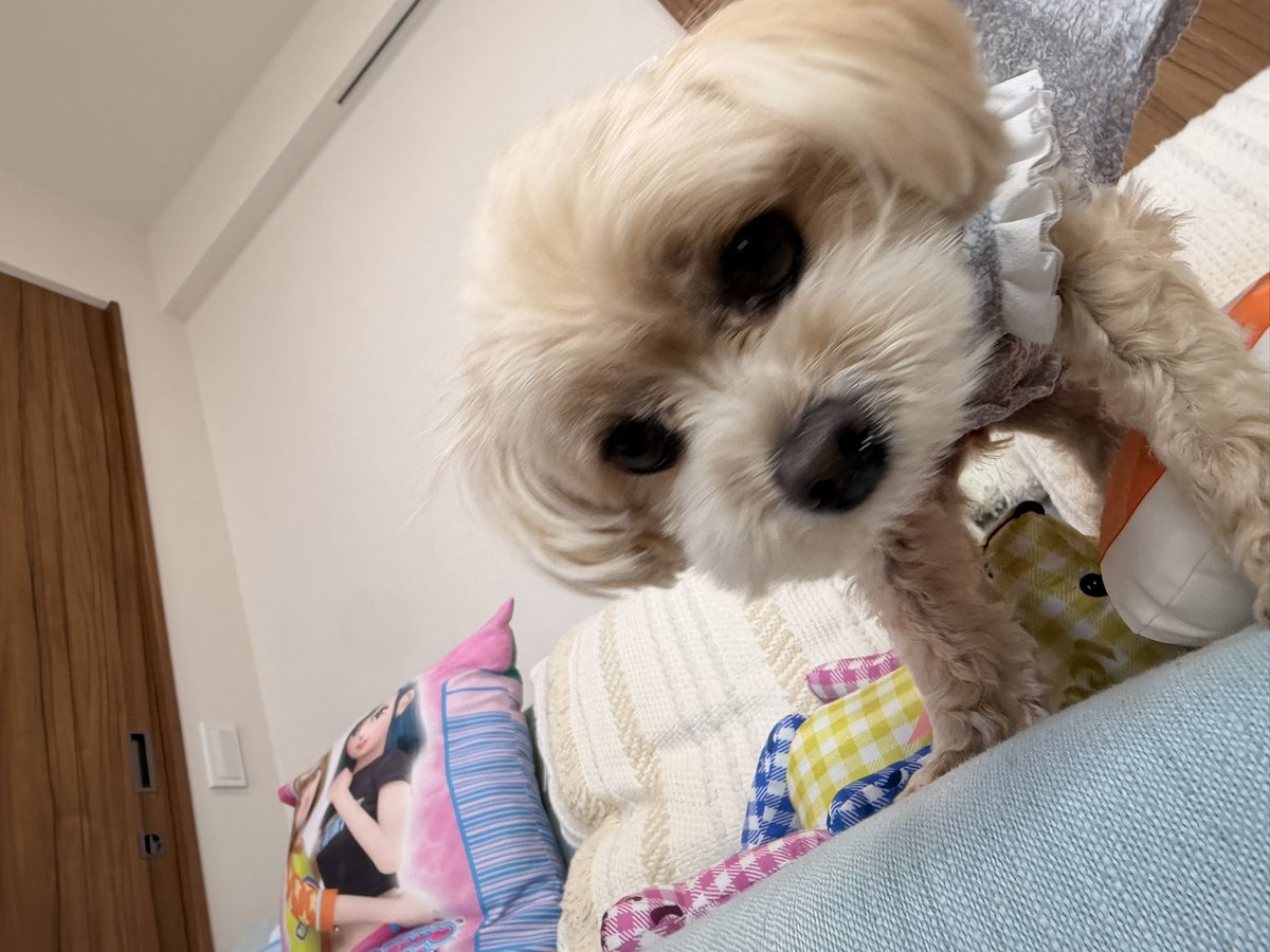 teamy_official's tweet photo. お待たせしました✨
スタートいたしました‼️

https://t.co/poJVWV9s6L

#チームY https://t.co/gKupPK9Zus