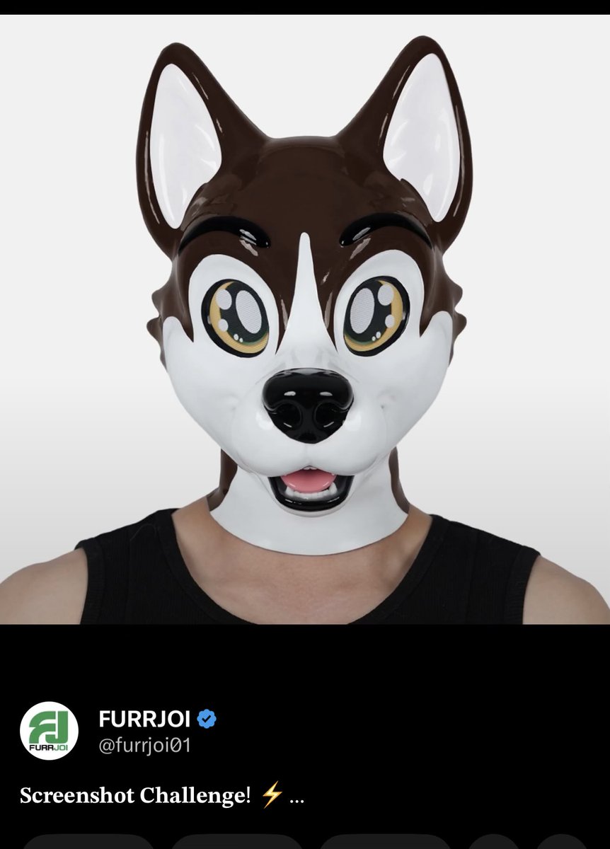 SillyOinker's tweet photo. @furrjoi01 Oink! https://t.co/ilWSv63iKT