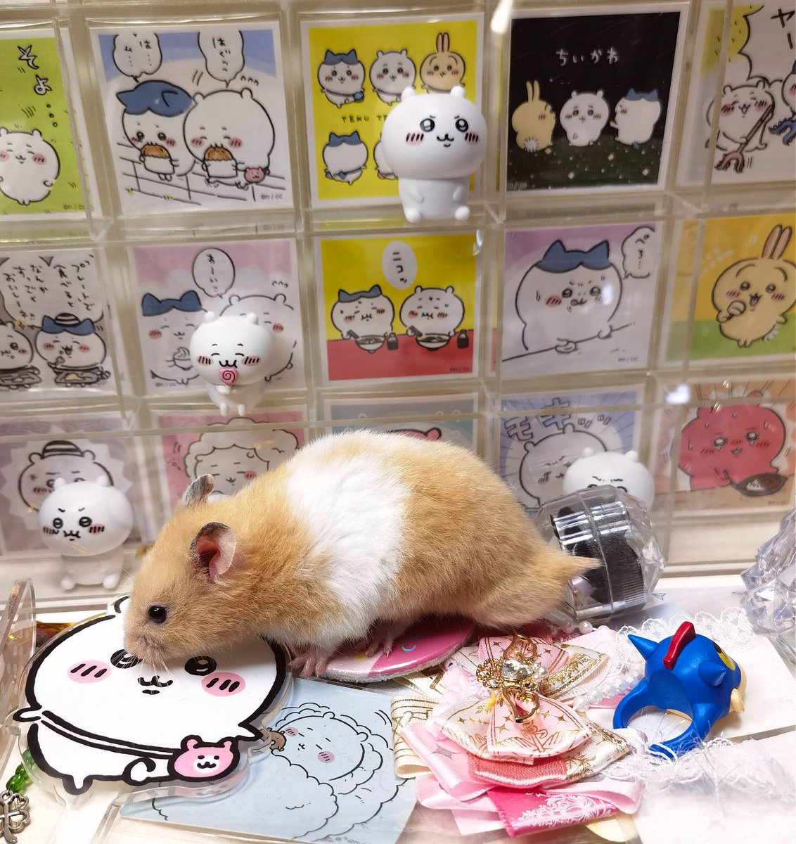 Matcha_Sea's tweet photo. 鼠 观看中👀 https://t.co/OG3TqTlmoX