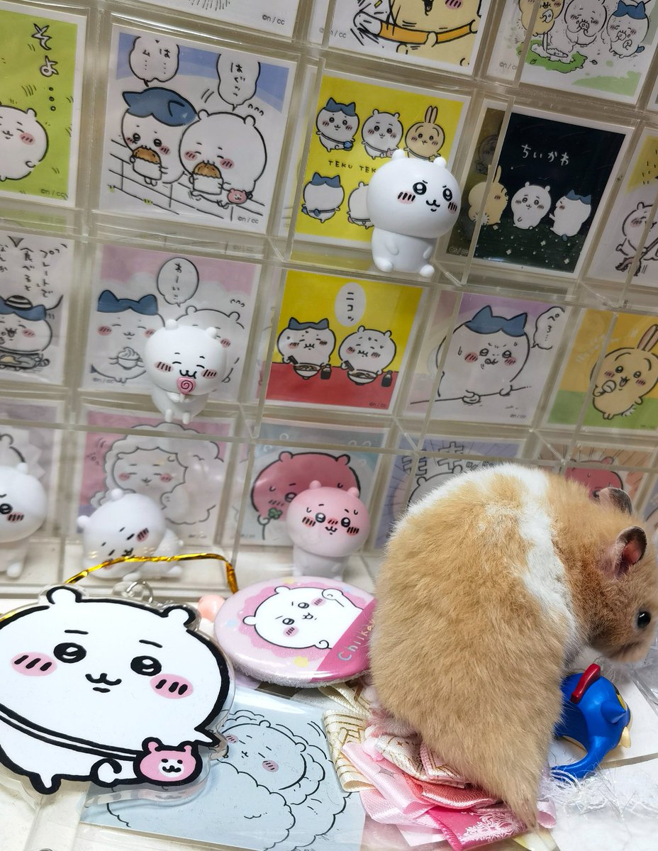 Matcha_Sea's tweet photo. 鼠 观看中👀 https://t.co/OG3TqTlmoX