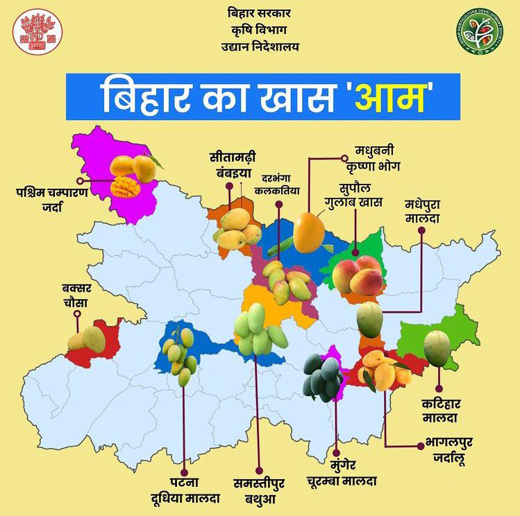 Jagruk_Bihari's tweet photo. Bihar is home to some of India's best mango varieties
Which is your favourite?
#Bihar #Mango #MangoVarieties #IndianMango https://t.co/5FQt6ozNqL