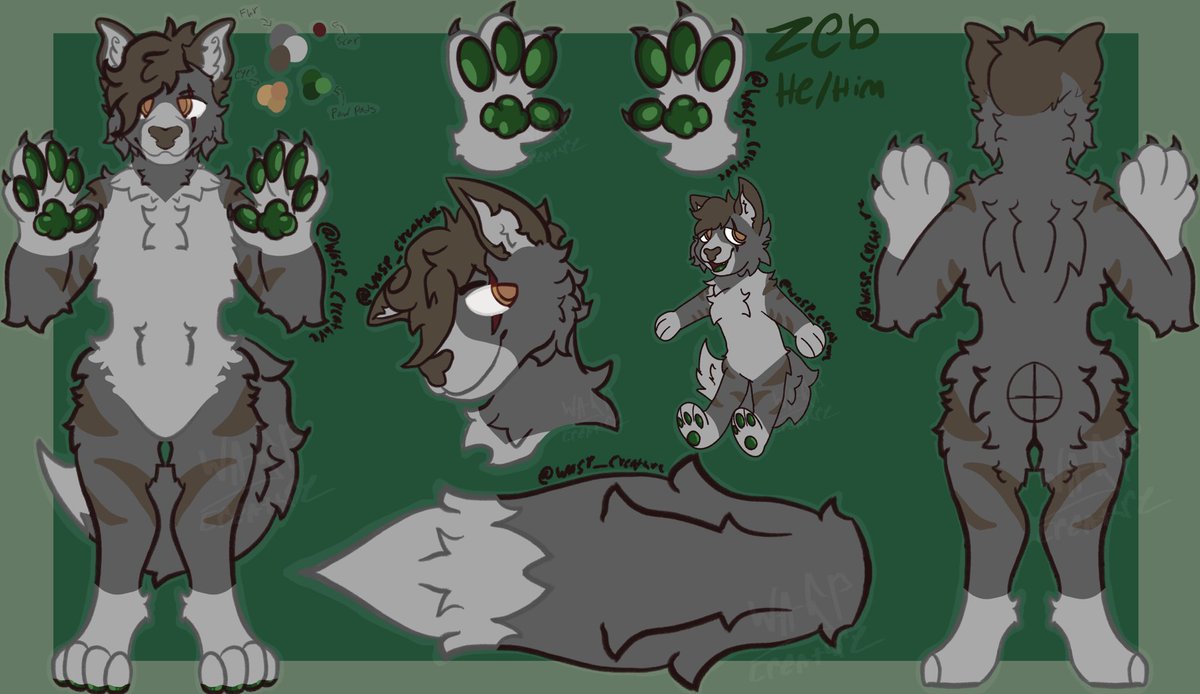 ZebThunderWolf's tweet photo. @RBKA33223322 @aussiecatto Yes! Thanks so much! https://t.co/xRyHRRkvav