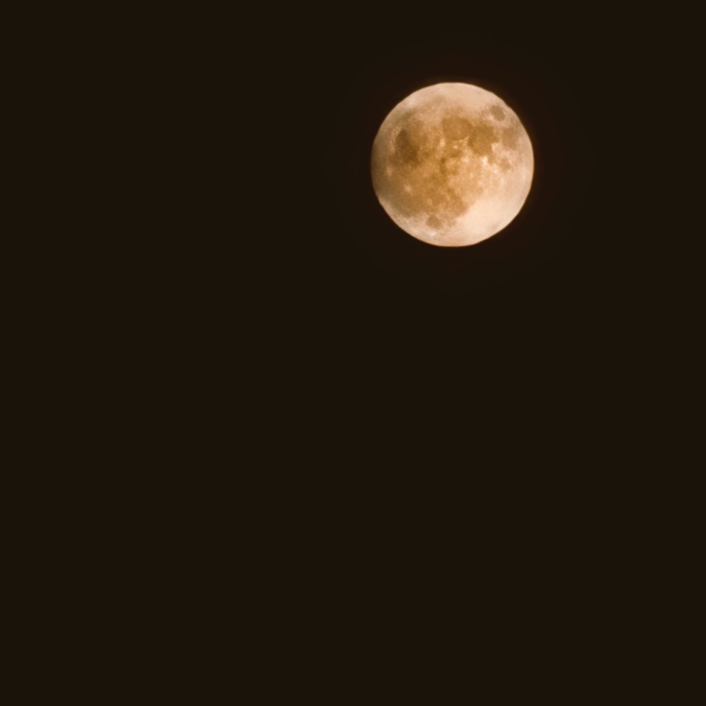 UcS6o's tweet photo. 今夜の月
近くの海に行ってみたよ🌕 https://t.co/RThfId3mMa