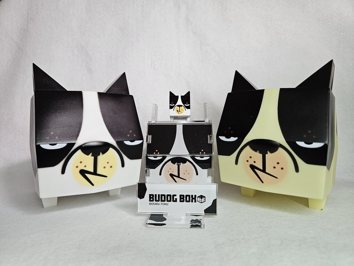 toshgosh4's tweet photo. うちの子紹介
関西ではレアキャラ化している？ #DOKUTOKU460 さんの #BUCAT と #BUDOGBOX をお迎え。
久々の来阪を楽しみにしておりました！
教えて頂いたとおりBOX組み立てました。良い感じですね。また機会があればお迎えしたいです。
またの来阪を楽しみにお待ちしておりますね。
@13DOKU_TOKU https://t.co/Oi6zKcYCqi