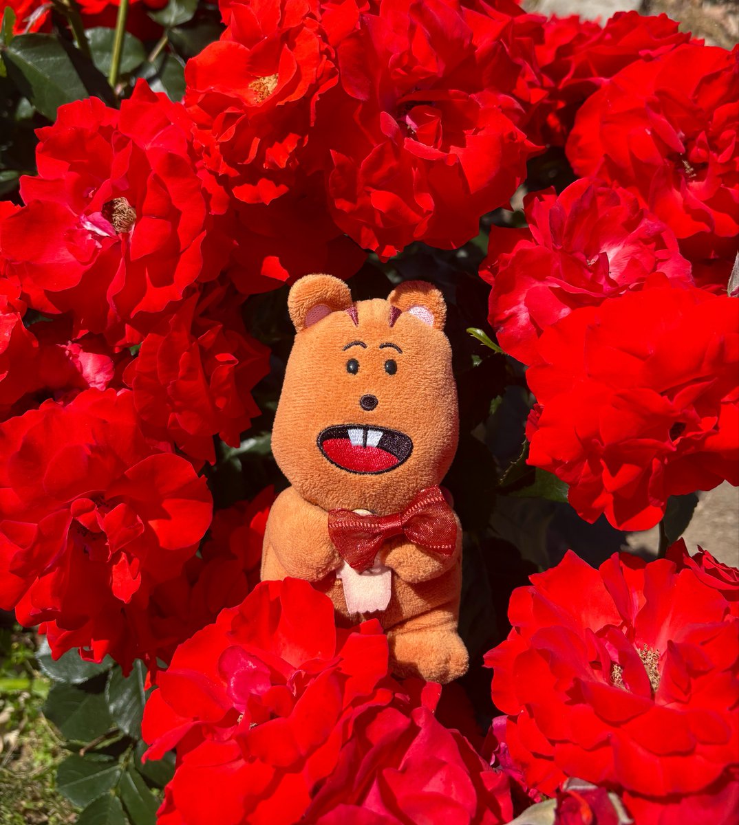 goopansanta's tweet photo. 🌹 https://t.co/hiw4cbAft8