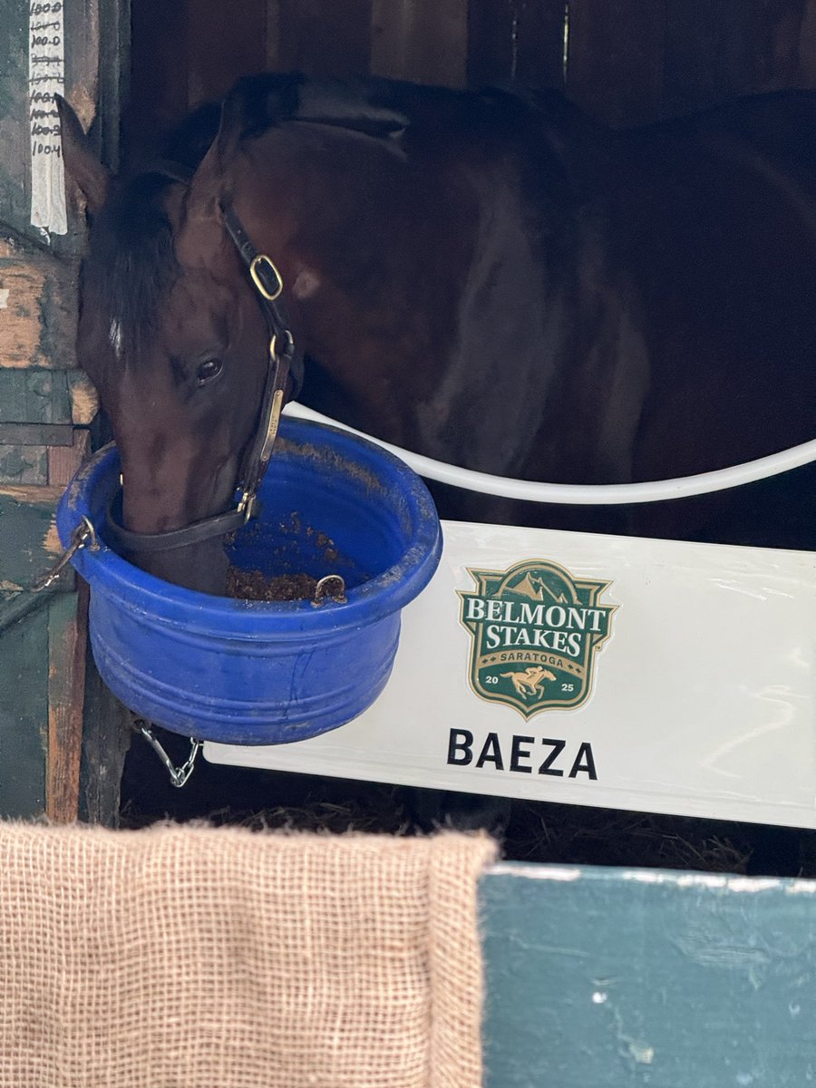 StablesCrk's tweet photo. As owners, we live for days like today &amp; the opportunity to race against the best. Baeza is more than ready. Team Baeza- bring it today! LFG 💜 https://t.co/wKJml4jgIT