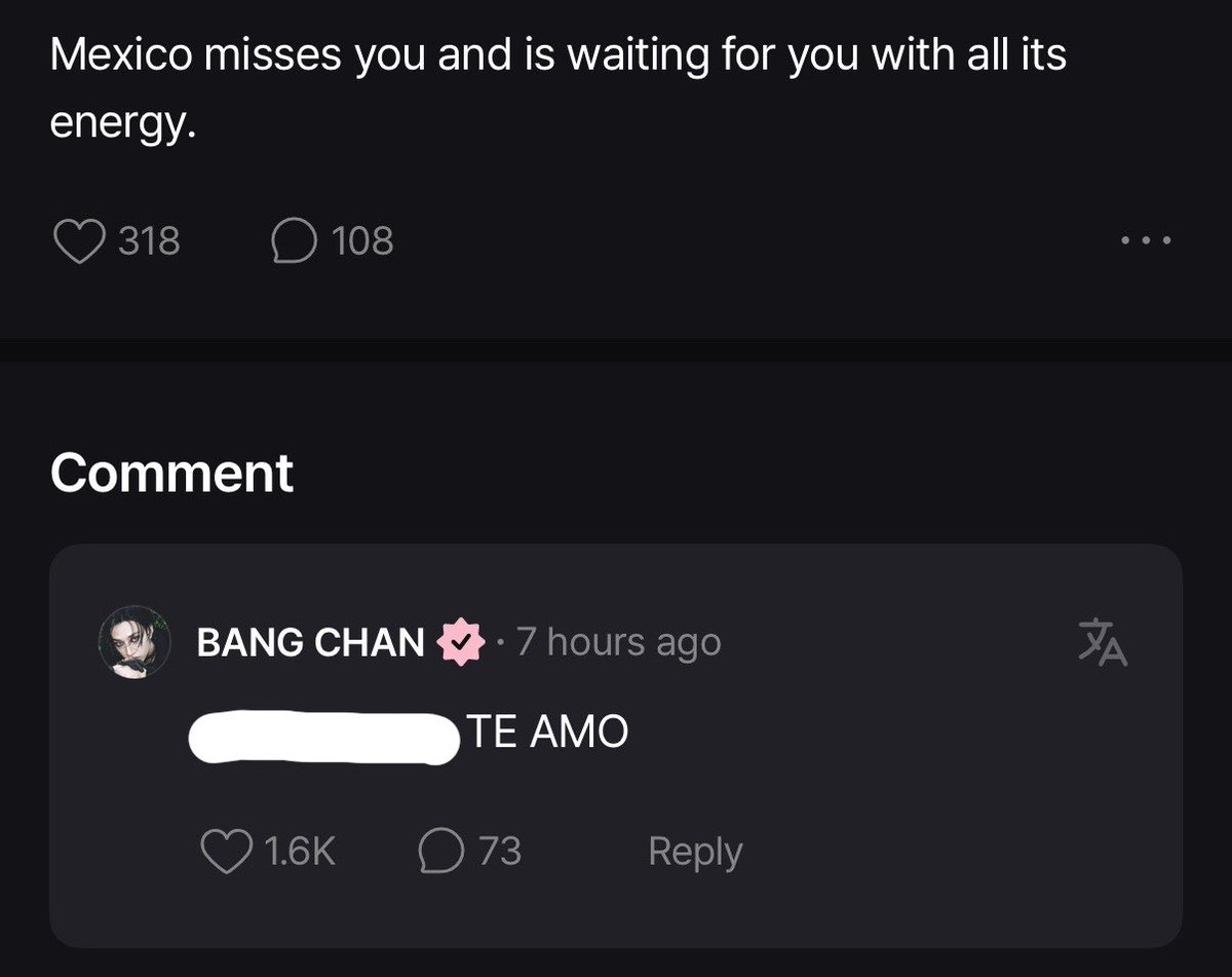 skzsfans's tweet photo. 💖: Mexico misses you and is waiting for you with all its energy.

🐺: TE AMO https://t.co/WbFQx4Vasw