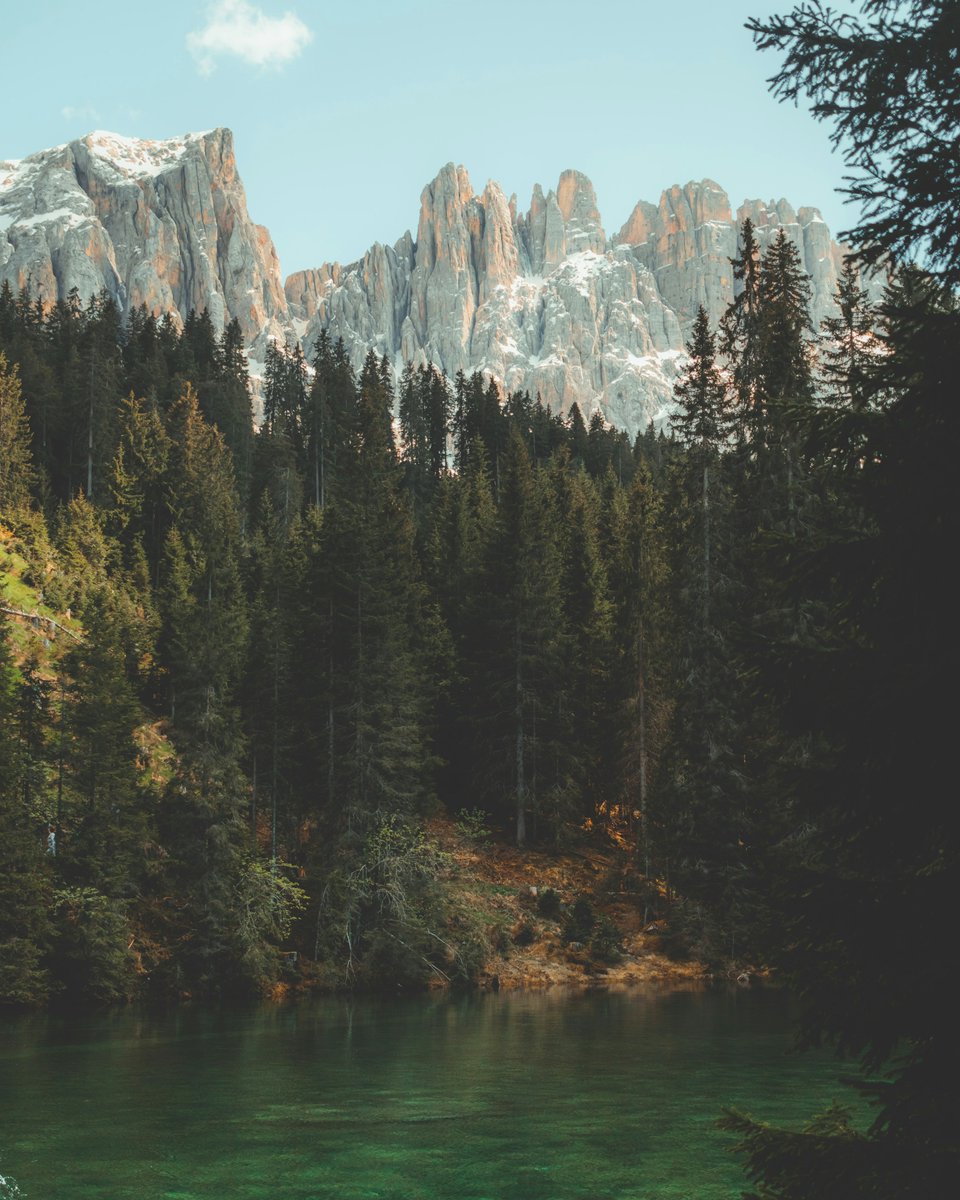 earthcurated's tweet photo. Italy is now officially a forest nation as forests reach their highest level since the Middle Ages. https://t.co/50TpHjOMAP