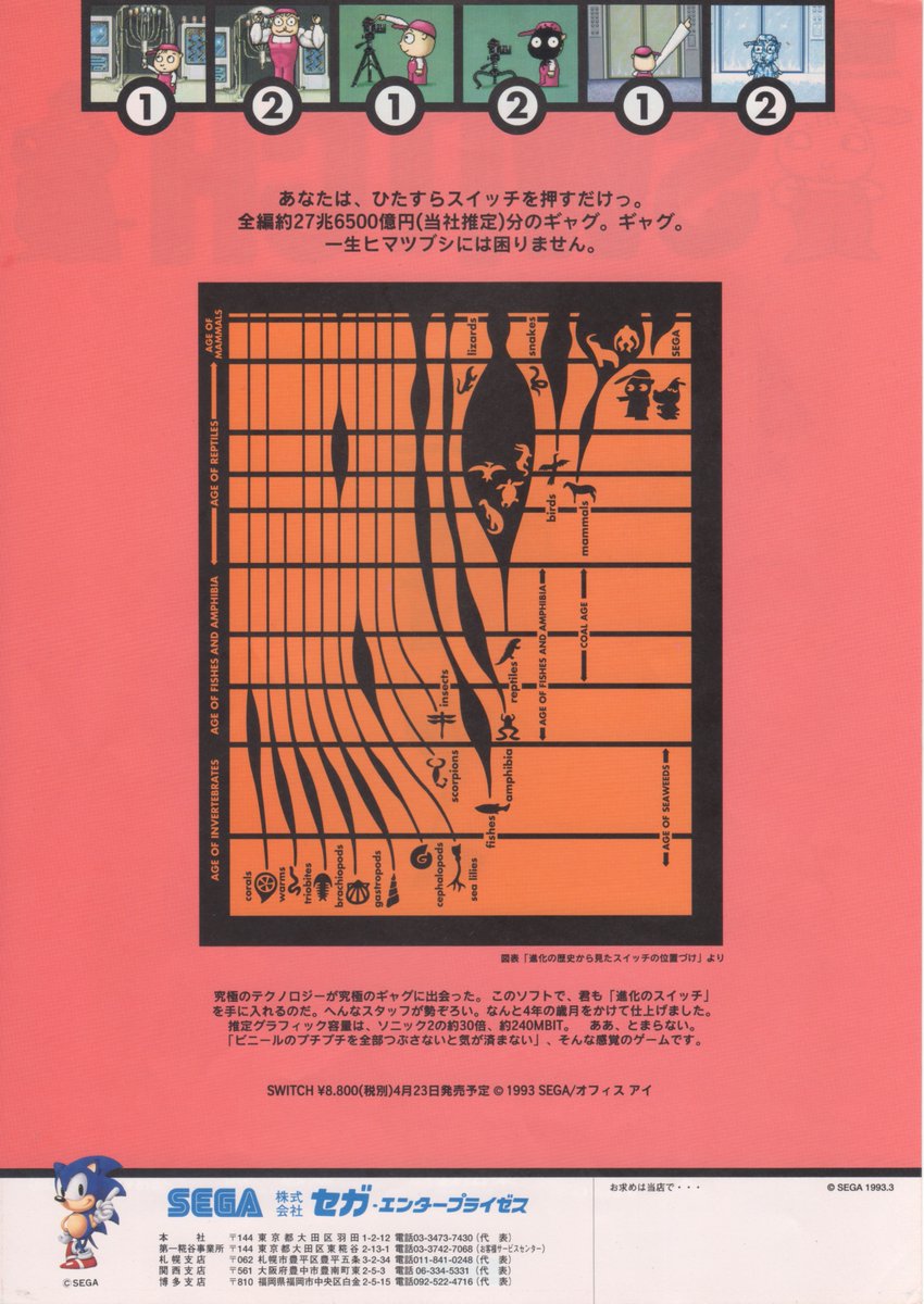 MDソフトのチラシというのは大阪に住んでいた時代もほぼ見かけない代物