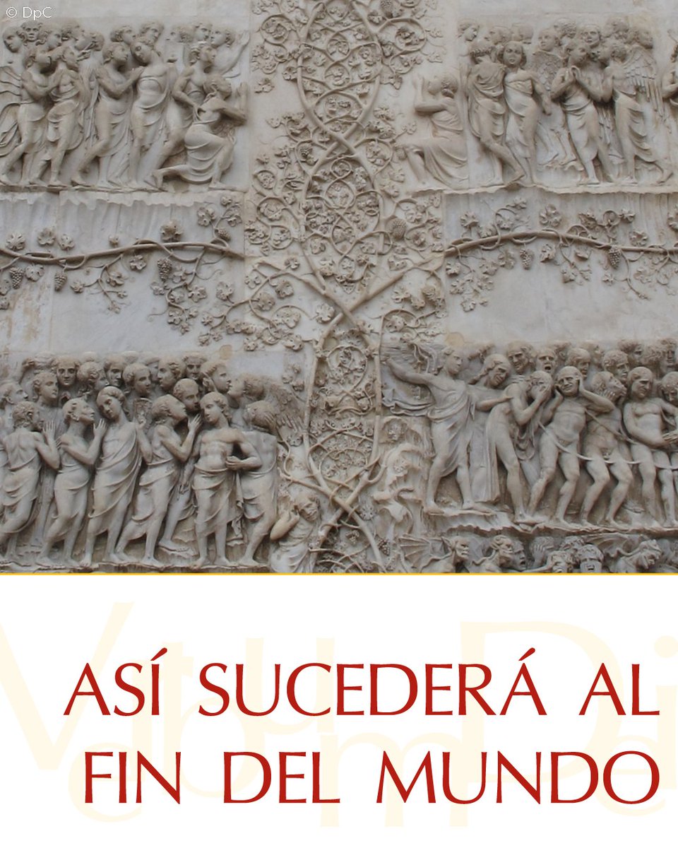 vaticannews_es's tweet photo. #28DeJulio ¡Muy buenos días! En este martes de la XVII semana del Tiempo Ordinario compartimos el #EvangelioDeHoy según san Mateo 13, 36-43. Puedes leerlo aquí: https://t.co/BNeFY36sMl https://t.co/tS0IKnpUtJ