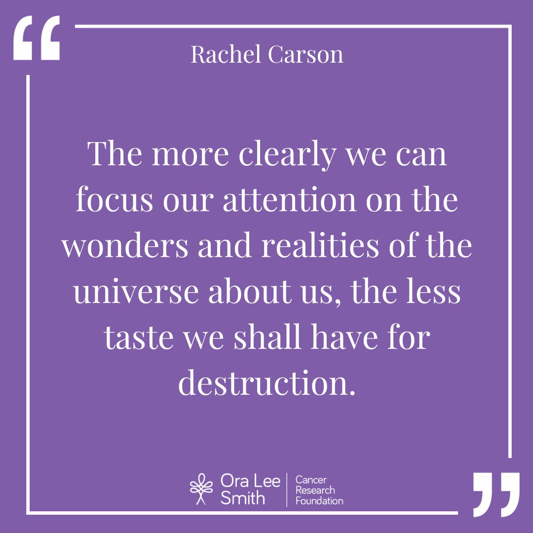 OraLeeOrg's tweet photo. The more clearly we focus our attention on the wonders and realities of the universe around us, the less taste we have for destruction—and the more room we create for innovation. 💜 @oraleeorg drhadiyahgreen https://t.co/ENSxIA32GU